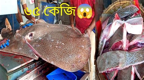 pata fish|Very Rare Fish Cutting.